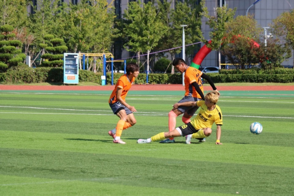 热血角逐！国际足球盛事搏击场上的简单介绍