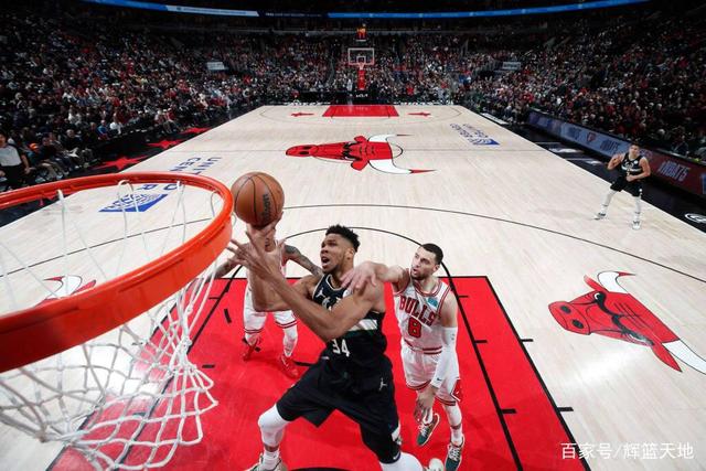 奇才负雄鹿，战绩继续下滑